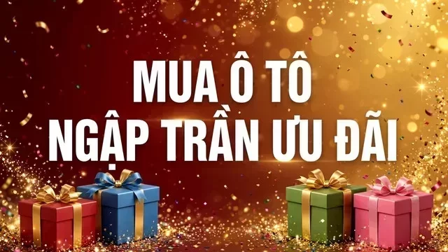 Địa điểm hỗ trợ xem xe tại Trà Vinh